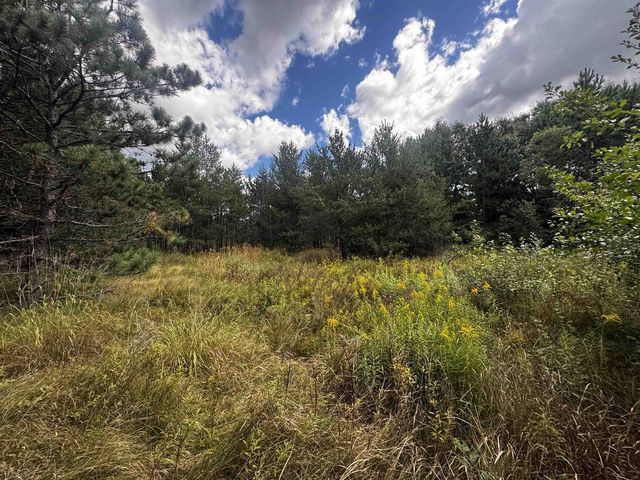 80 AC 13th Ct Acres, Nekoosa, WI 54457