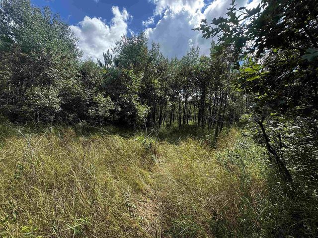 80 AC 13th Ct Acres, Nekoosa, WI 54457