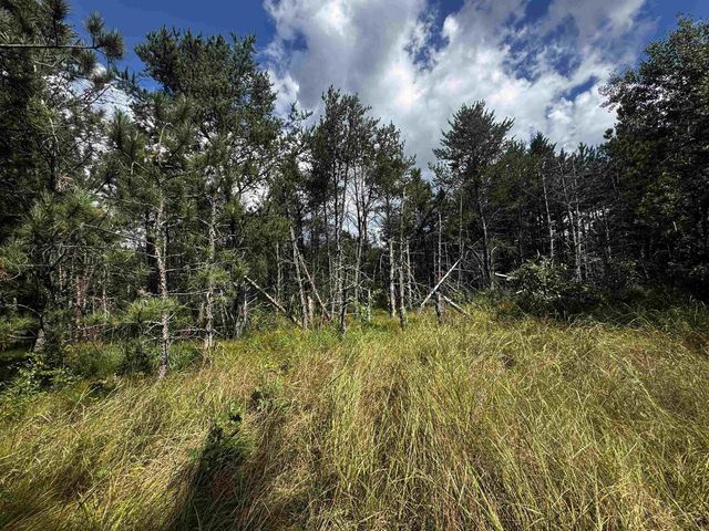80 AC 13th Ct Acres, Nekoosa, WI 54457