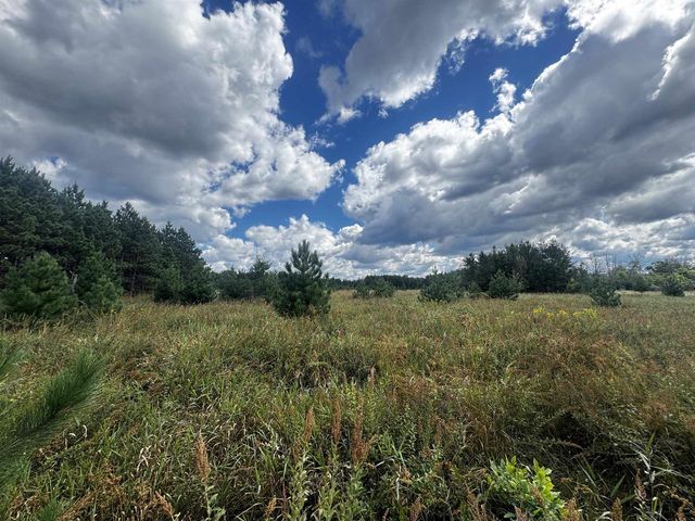 80 AC 13th Ct Acres, Nekoosa, WI 54457