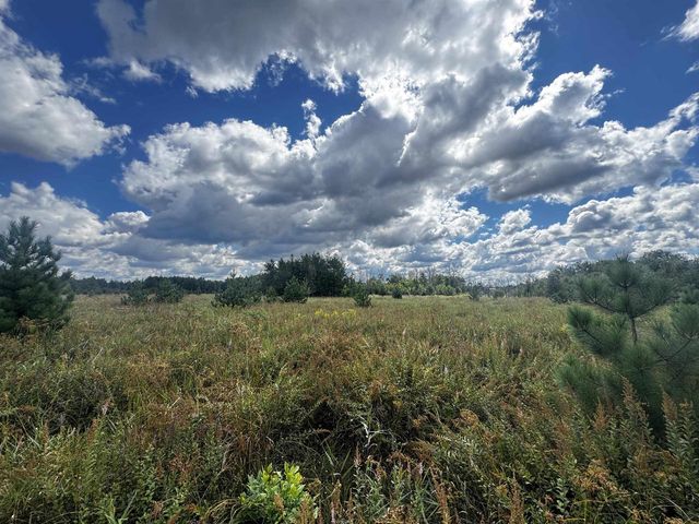 80 AC 13th Ct Acres, Nekoosa, WI 54457