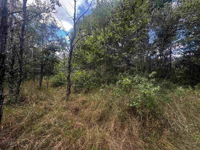 80 AC 13th Ct Acres, Nekoosa, WI 54457