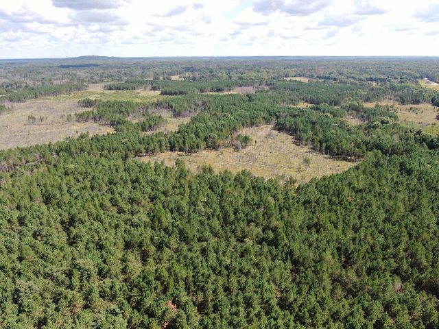 80 AC 13th Ct Acres, Nekoosa, WI 54457