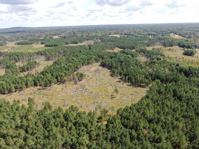 80 AC 13th Ct Acres, Nekoosa, WI 54457
