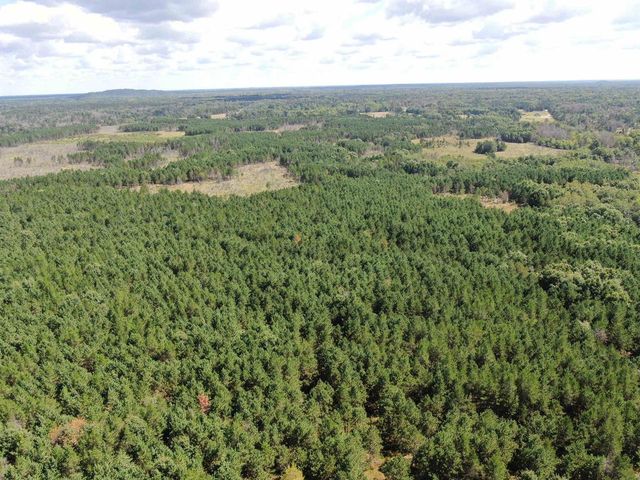 80 AC 13th Ct Acres, Nekoosa, WI 54457