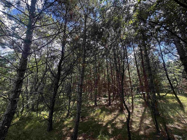 80 AC 13th Ct Acres, Nekoosa, WI 54457