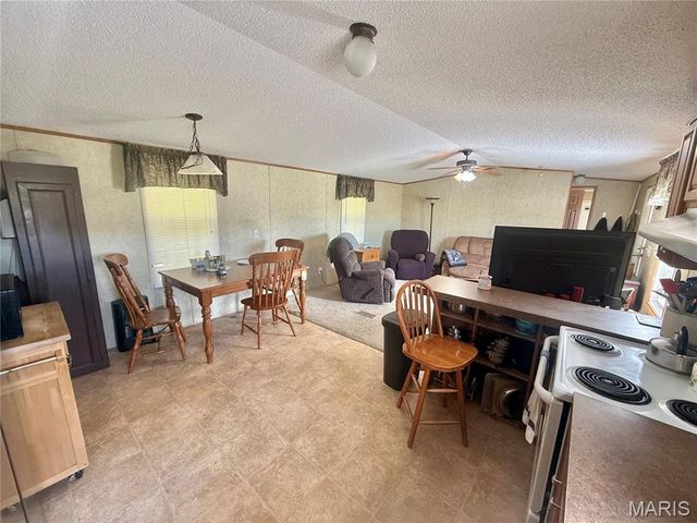 1795 Madison 417, Fredericktown, MO 63645