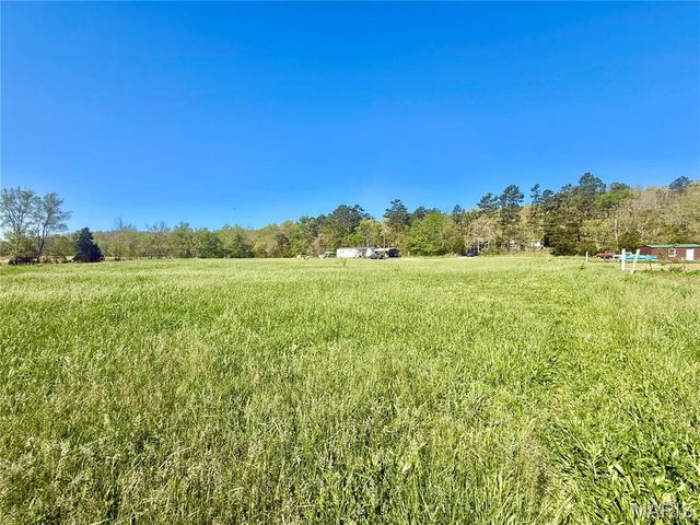 1795 Madison 417, Fredericktown, MO 63645