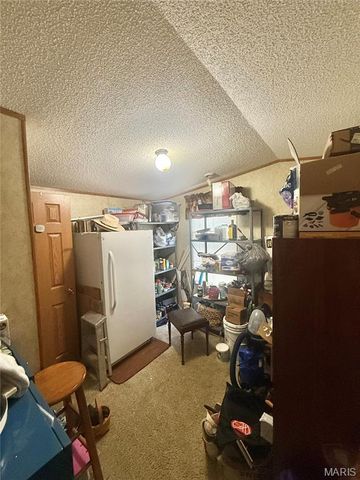 1795 Madison 417, Fredericktown, MO 63645