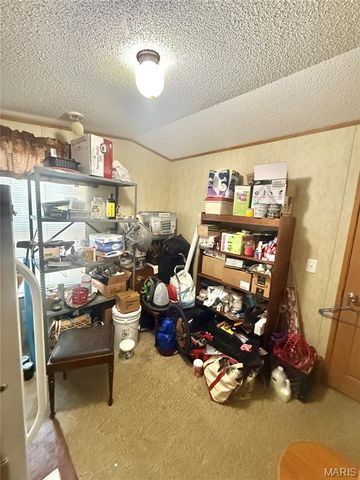 1795 Madison 417, Fredericktown, MO 63645