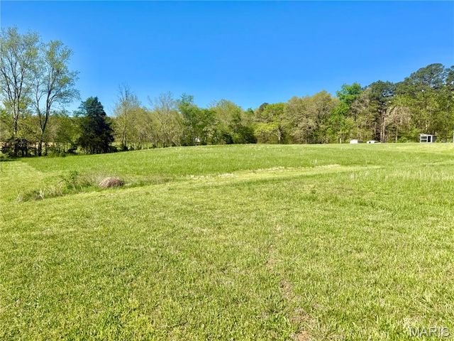 1795 Madison 417, Fredericktown, MO 63645