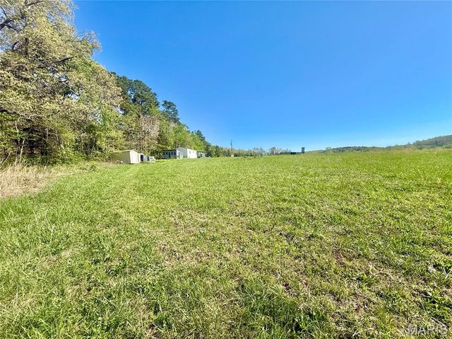 1795 Madison 417, Fredericktown, MO 63645