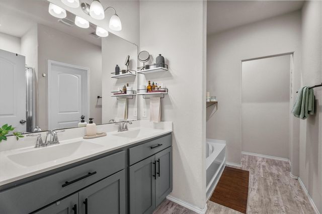 16419 Rosary Pea Place, Conroe, TX 77385