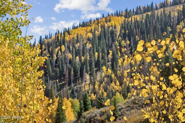 95 Black Diamond Road, Helper, UT 84526