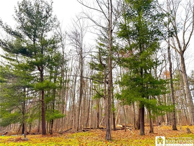 1 Whisper Lane, Ellicott, NY 14701