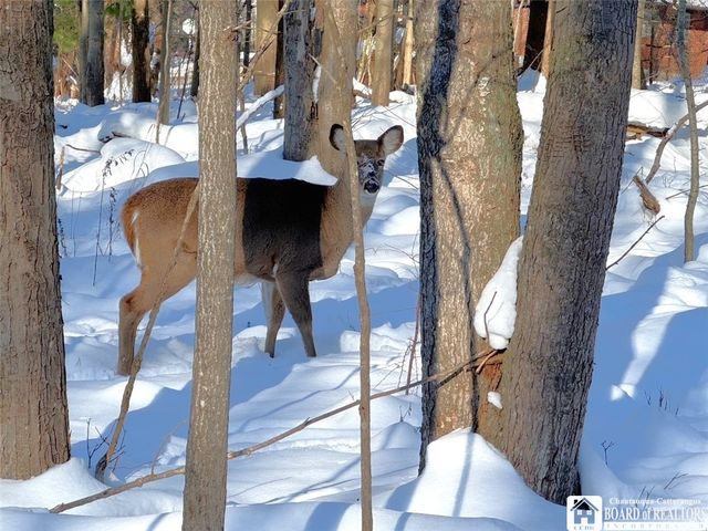 1 Whisper Lane, Ellicott, NY 14701