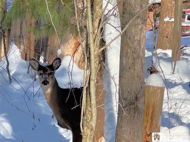 1 Whisper Lane, Ellicott, NY 14701