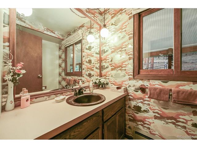 2169 Vigilante Ave, Bailey, CO 80421