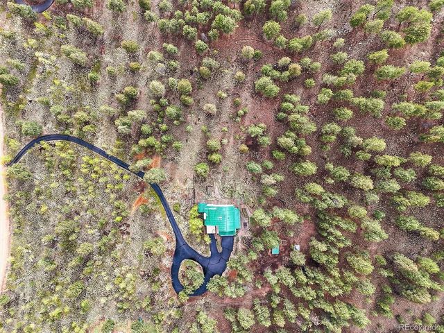 2169 Vigilante Ave, Bailey, CO 80421