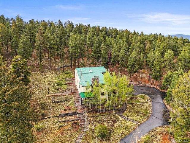 2169 Vigilante Ave, Bailey, CO 80421