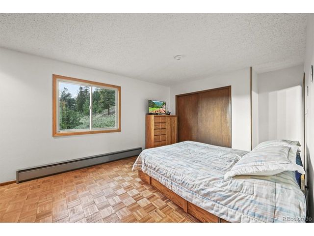 2169 Vigilante Ave, Bailey, CO 80421