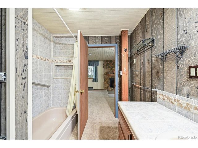 2169 Vigilante Ave, Bailey, CO 80421