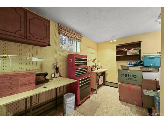 2169 Vigilante Ave, Bailey, CO 80421