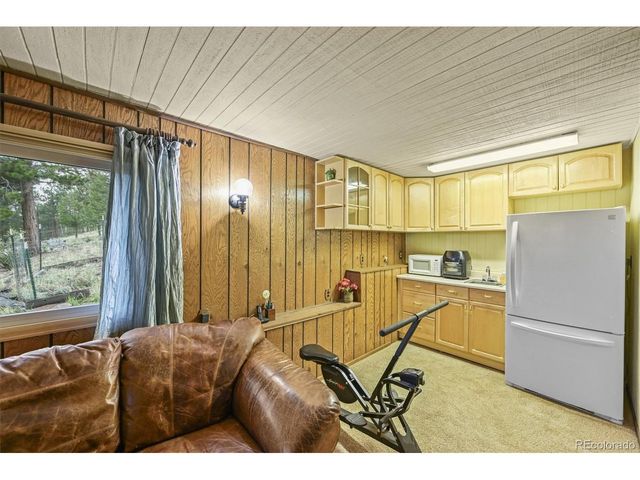 2169 Vigilante Ave, Bailey, CO 80421