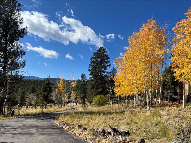 2169 Vigilante Ave, Bailey, CO 80421