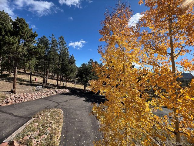 2169 Vigilante Ave, Bailey, CO 80421