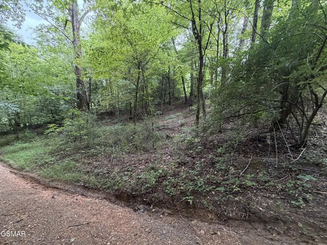 15 Forge Hideaway Road, Pigeon Forge, TN 37863