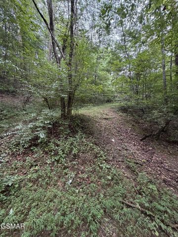 15 Forge Hideaway Road, Pigeon Forge, TN 37863