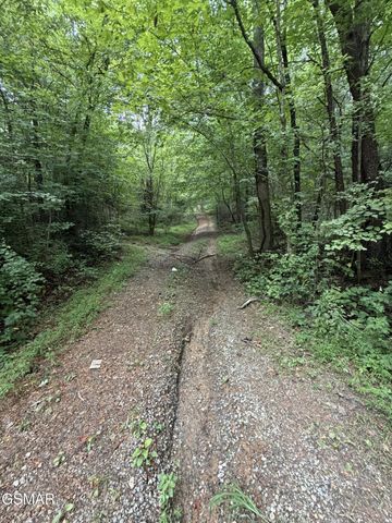 15 Forge Hideaway Road, Pigeon Forge, TN 37863