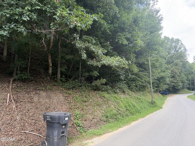 15 Forge Hideaway Road, Pigeon Forge, TN 37863