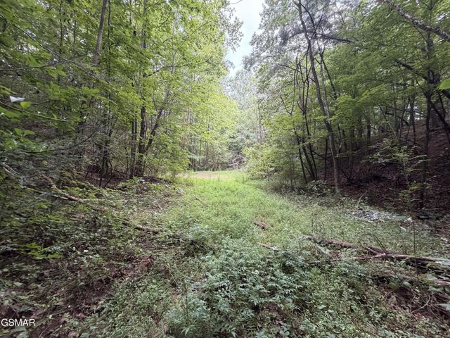 15 Forge Hideaway Road, Pigeon Forge, TN 37863