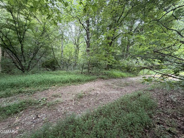 15 Forge Hideaway Road, Pigeon Forge, TN 37863