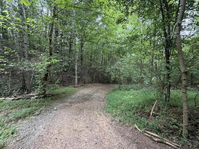 15 Forge Hideaway Road, Pigeon Forge, TN 37863