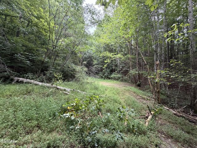 15 Forge Hideaway Road, Pigeon Forge, TN 37863
