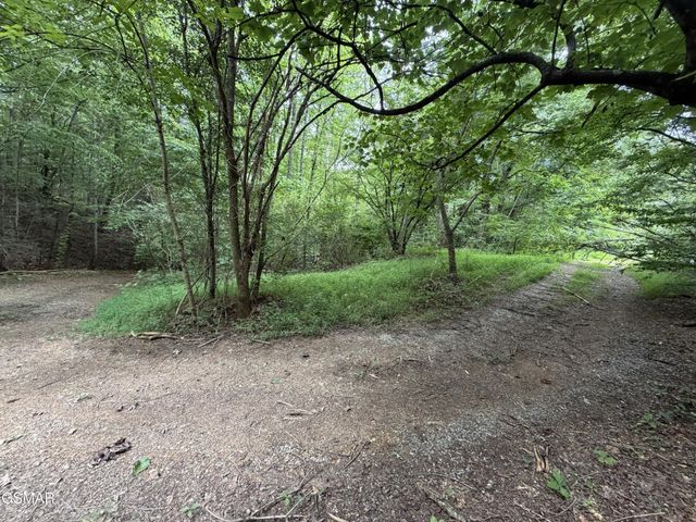 15 Forge Hideaway Road, Pigeon Forge, TN 37863