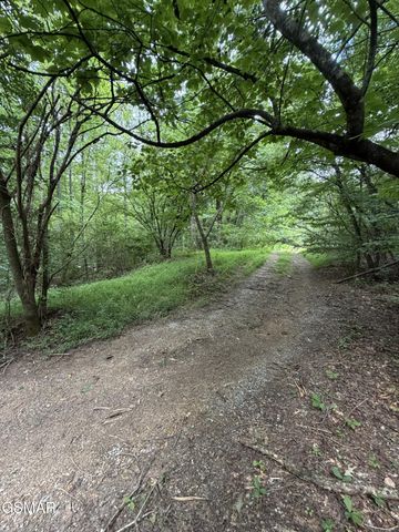 15 Forge Hideaway Road, Pigeon Forge, TN 37863