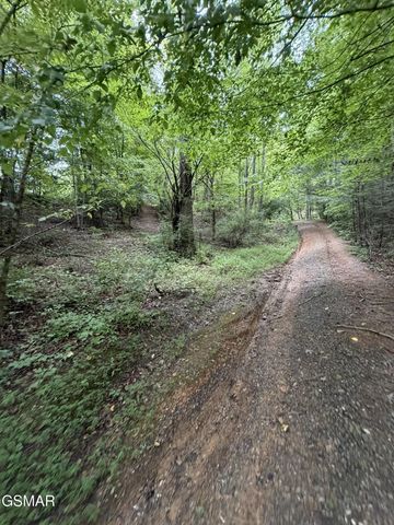15 Forge Hideaway Road, Pigeon Forge, TN 37863