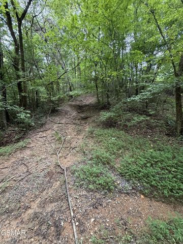15 Forge Hideaway Road, Pigeon Forge, TN 37863