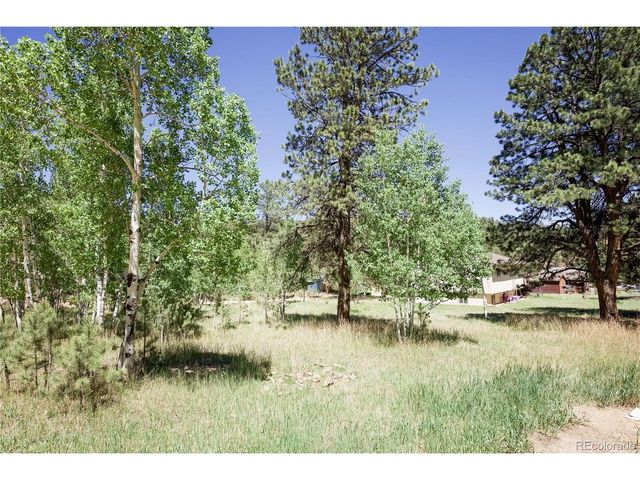 126 Sullivan St, Bailey, CO 80421
