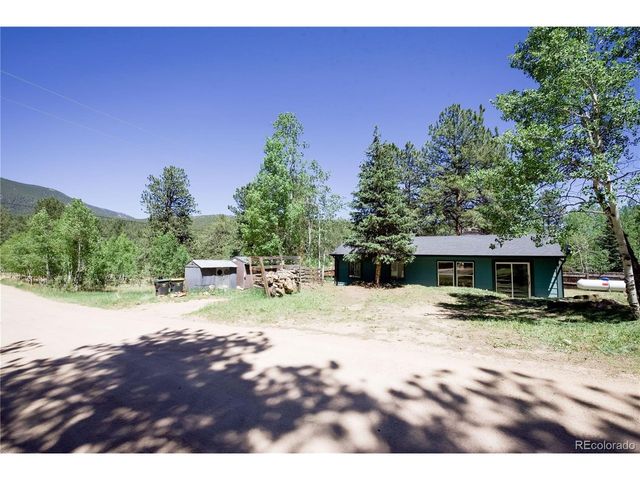 126 Sullivan St, Bailey, CO 80421