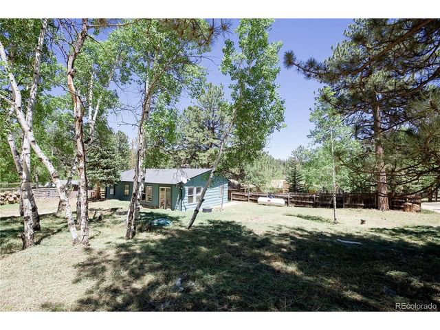 126 Sullivan St, Bailey, CO 80421