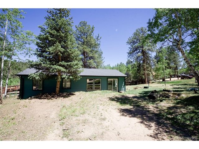 126 Sullivan St, Bailey, CO 80421