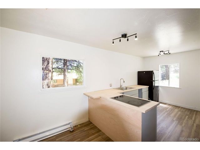 126 Sullivan St, Bailey, CO 80421