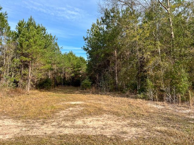 T-7 Tall Cotton Road, Saratoga, TX 77585