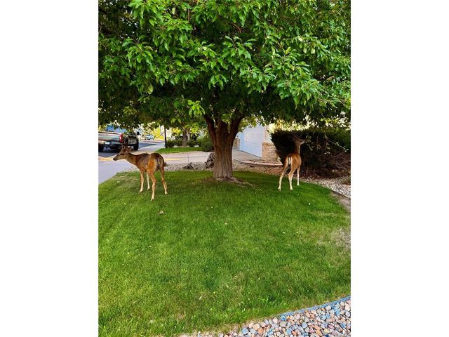 20409 Heather Ln, Parker, CO 80138