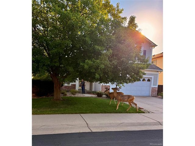 20409 Heather Ln, Parker, CO 80138